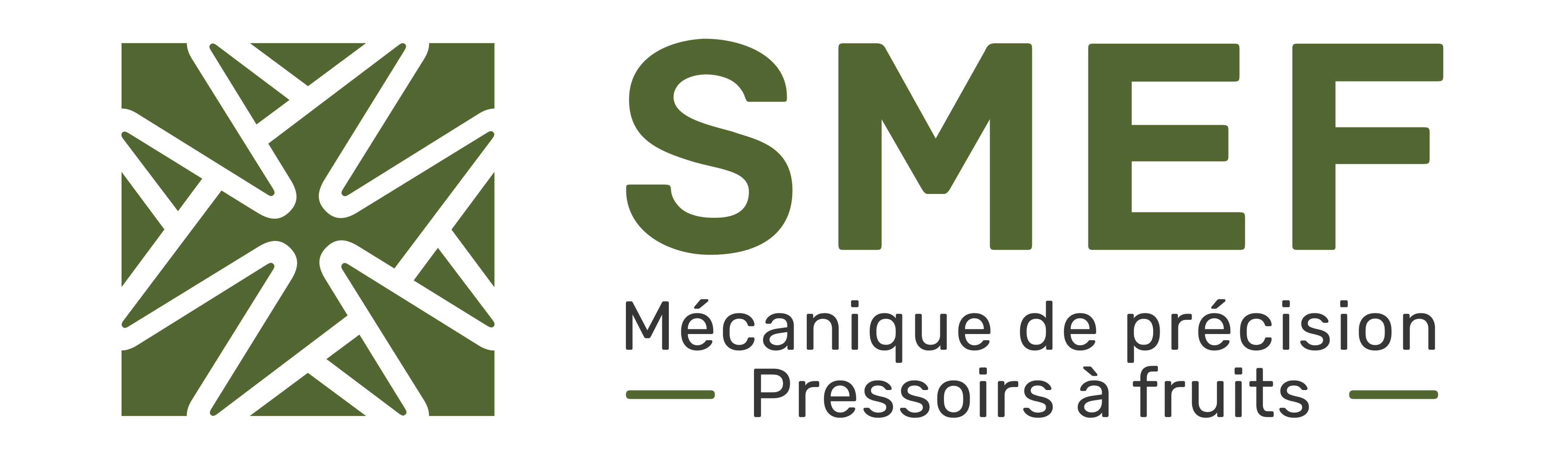 logo SMEF